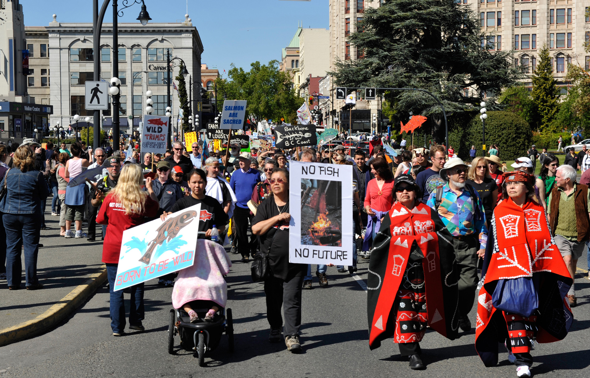 First Nations protesters protesting salmon farms