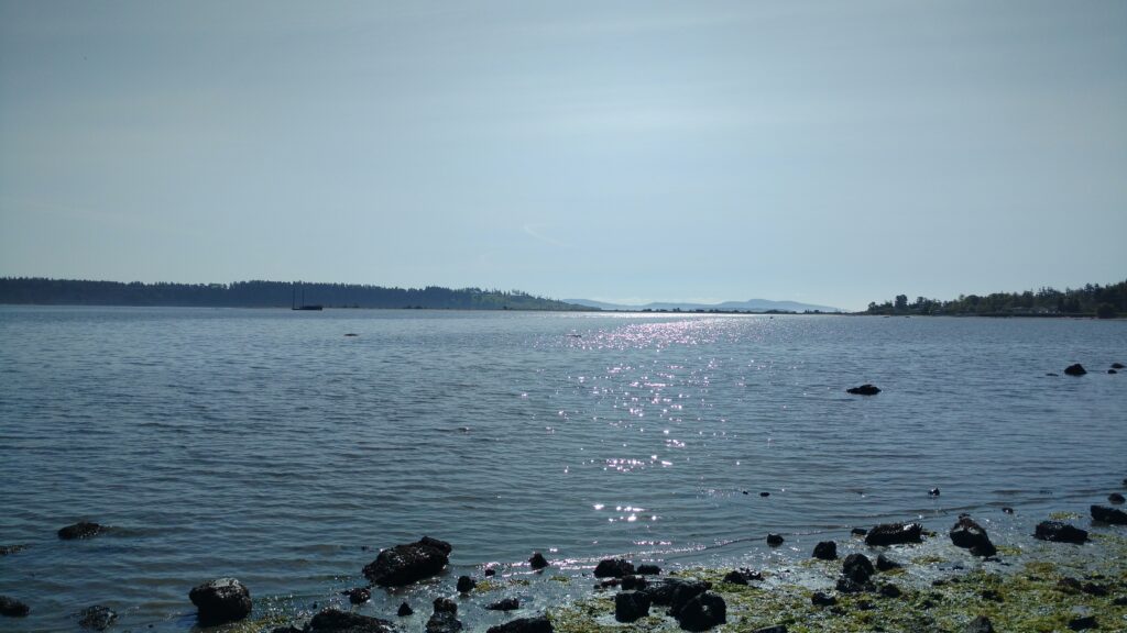 Beach looking out to sea and an island (Saanichton Bay)