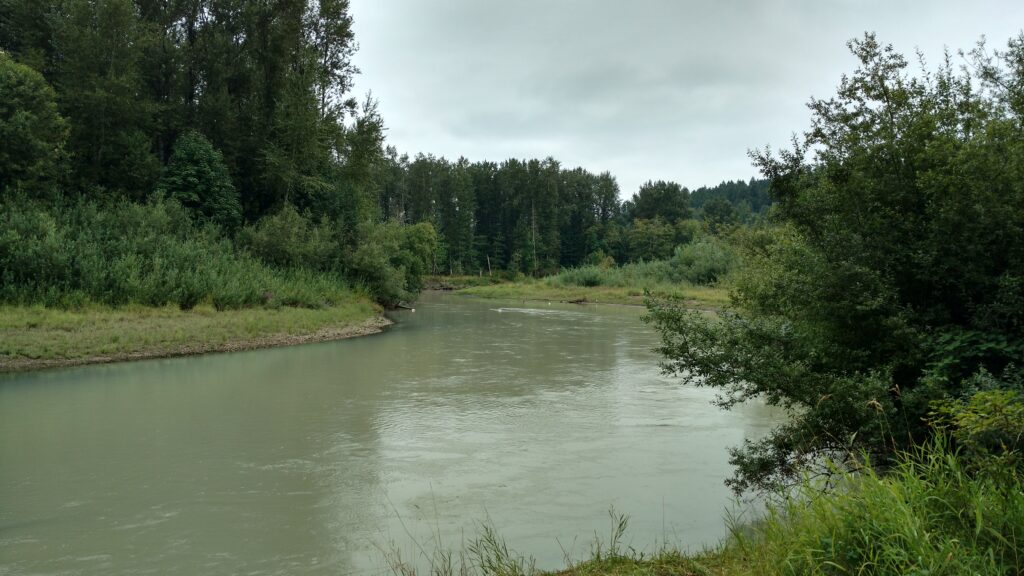 Wide river winding through forest (Nisqually)